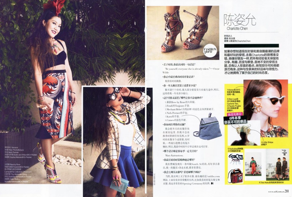 Self CHI 2013-7-1 pag 210