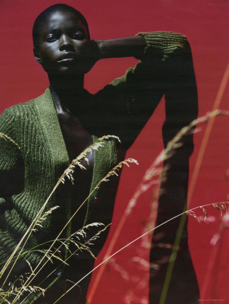 VOGUE GERMANY September 2013