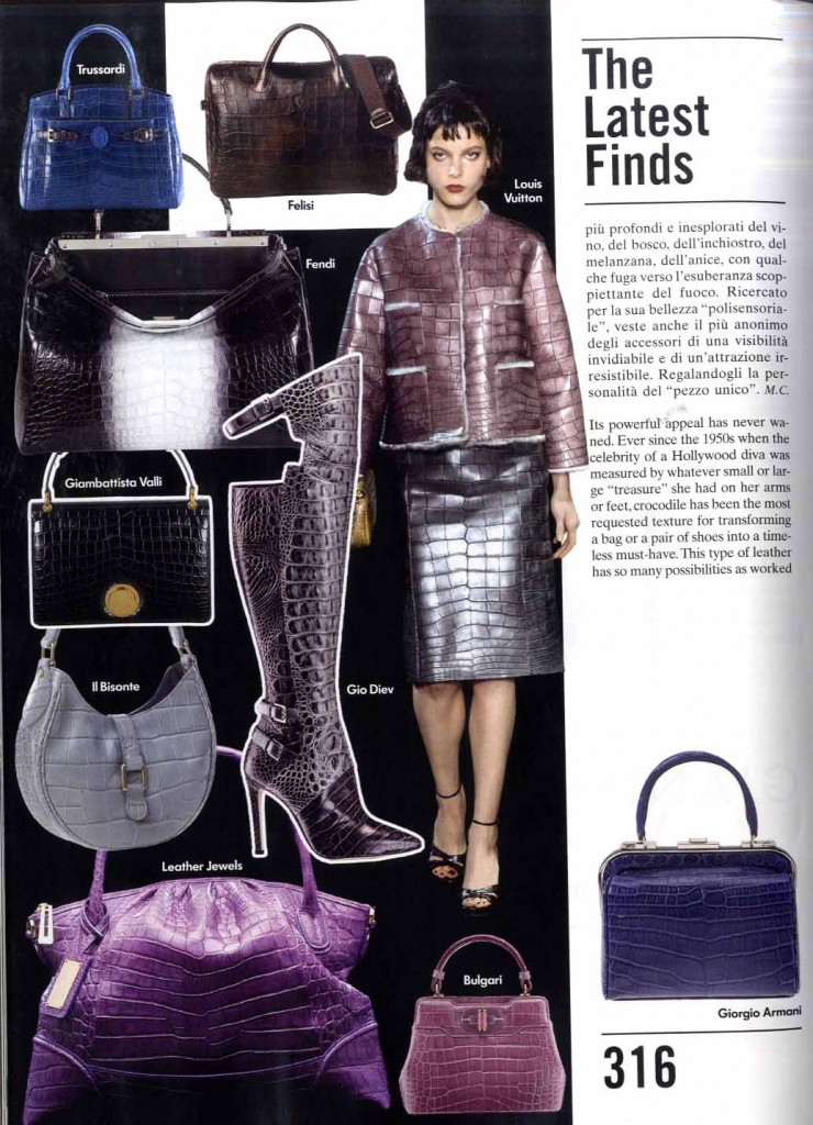 Vogue Accessory 9.13 p.316