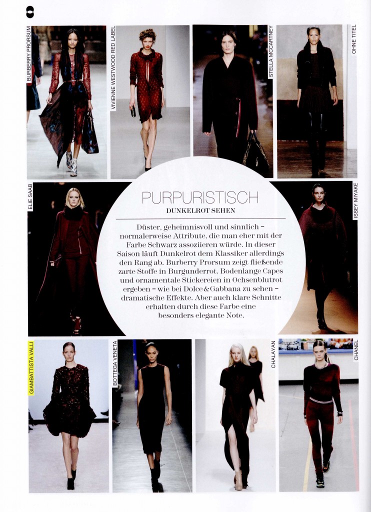 FLAIR GERMANY jul-aug 14 GIAMBATTISTA VALLI 3