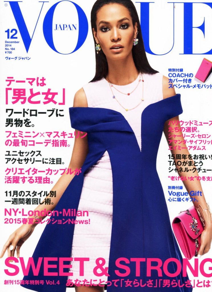 Vogue JAP 2014-12-1 Cover