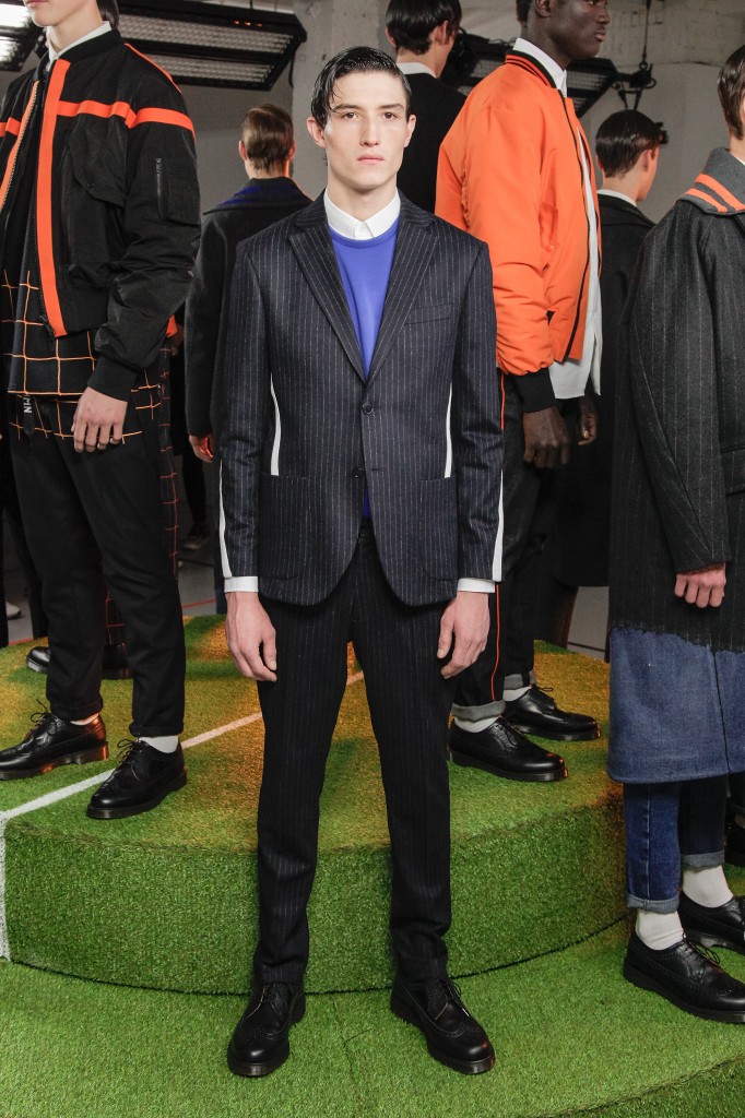 cmmn_swdn_aw15_009