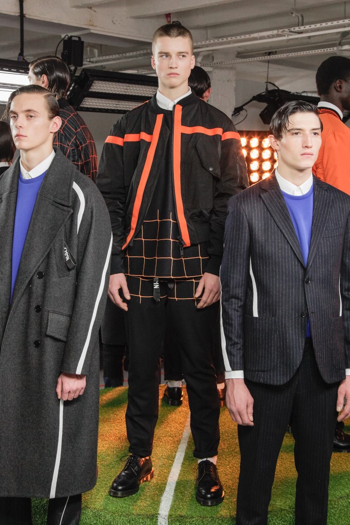 cmmn_swdn_aw15_011