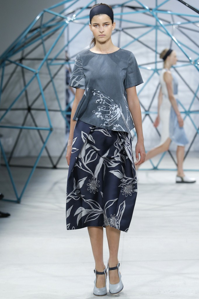 Suno 31