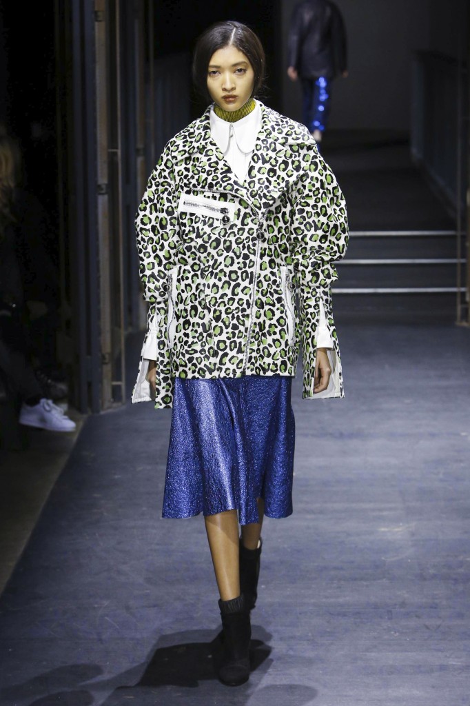 Drome Fashion Show, Ready To Wear Collection Fall Winter 2016 in Paris